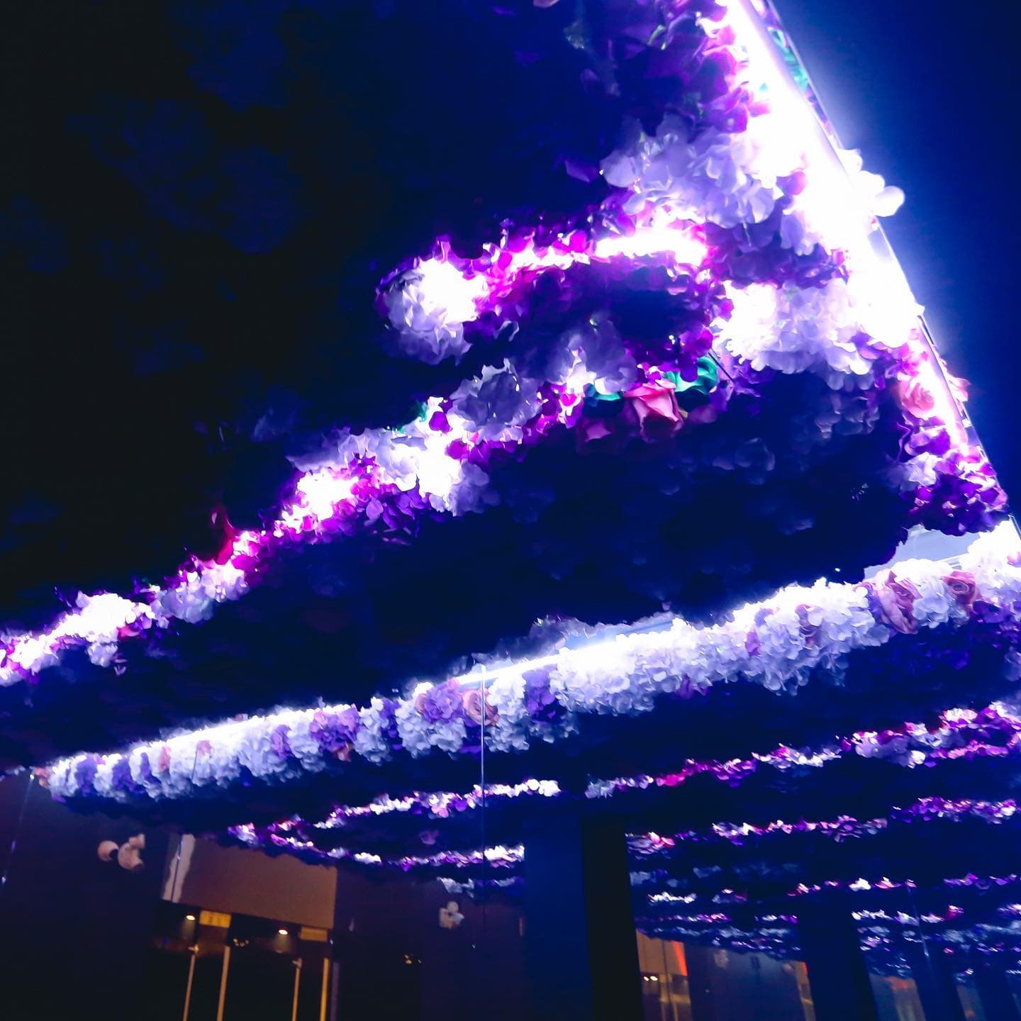 Ultraviolet’s ceiling installation lit violet